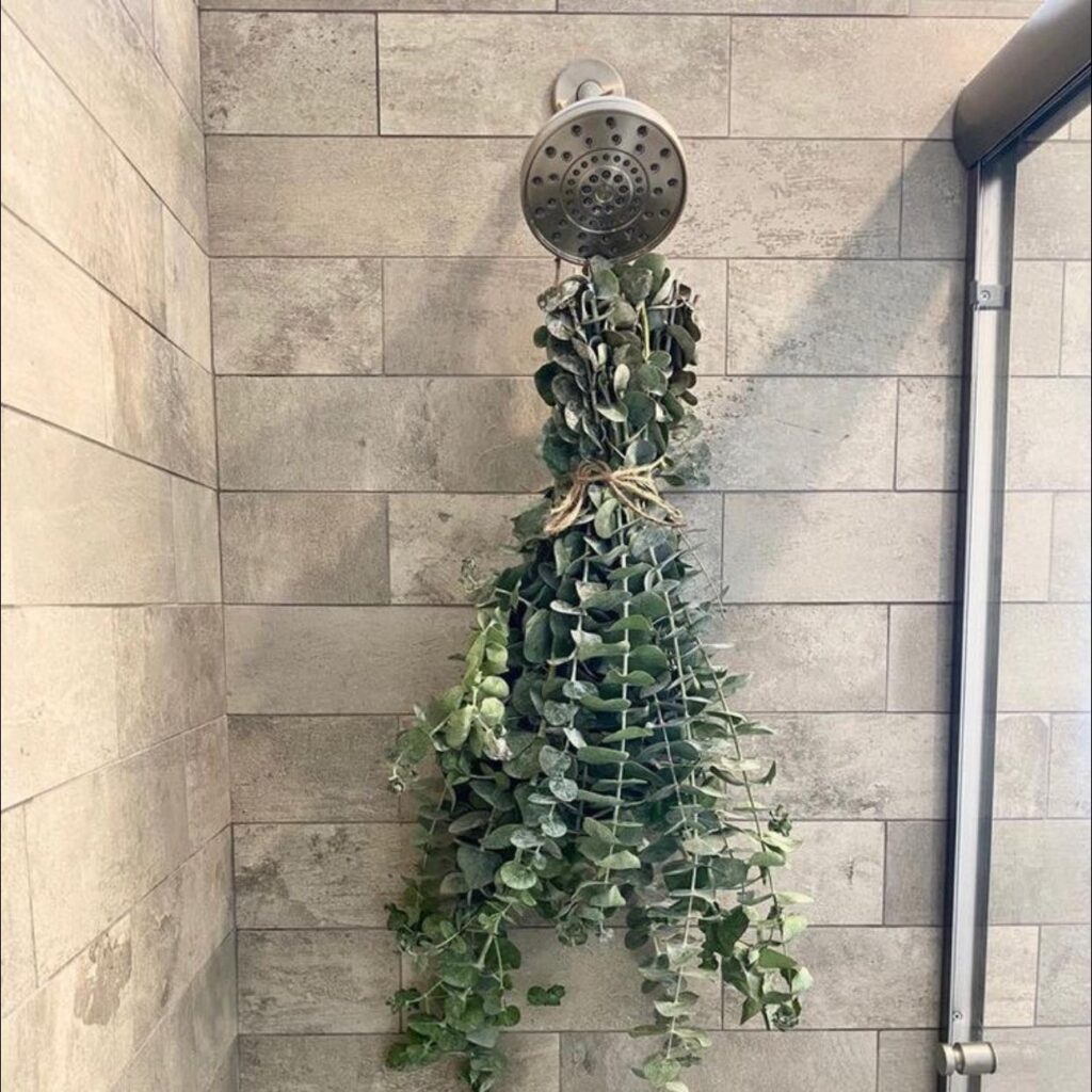 Eucalyptus Shower Bundles VAT 33.00 The Green House