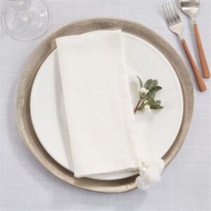 Tassel Napkin - 20" - Square/Ivory Set of 4 Vat $36.30