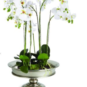 Emsworth Pedestal Medium VAT $431.20