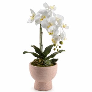 Single Orchid Planter (Mother's Day) vat$82.25