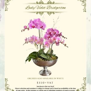 Lady Violet Bridgerton- VAT$385.00